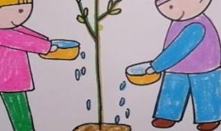 植树手抄报简单字又少