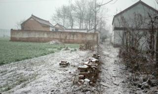 河南气象回应为啥还没下雪