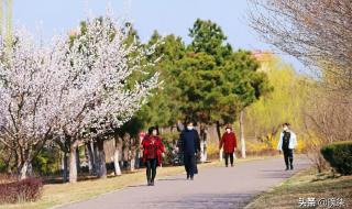 庄河大学城有几所大学