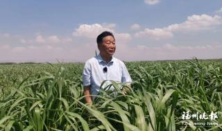 国际友人给女儿改名菌草