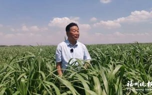 国际友人给女儿改名菌草,这是一种怎样的感情 国际友人给女儿改名菌草