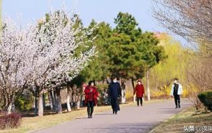 辽宁师范大学海华学院庄河校区 庄河大学城有几所大学