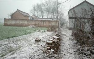今年冬天河南还下雪吗 河南气象回应为啥还没下雪